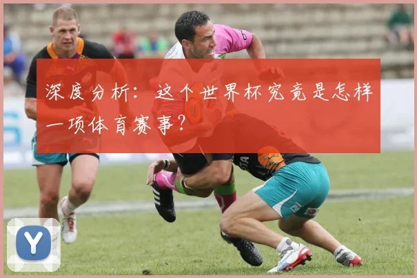 深度分析：这个世界杯究竟是怎样一项体育赛事？