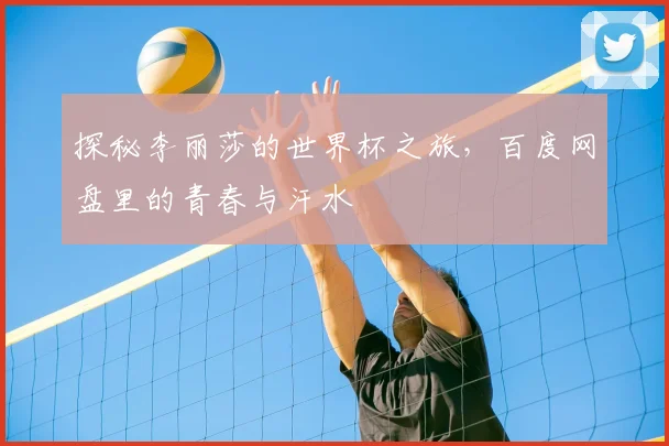 探秘李丽莎的世界杯之旅,百度网盘里的青春与汗水