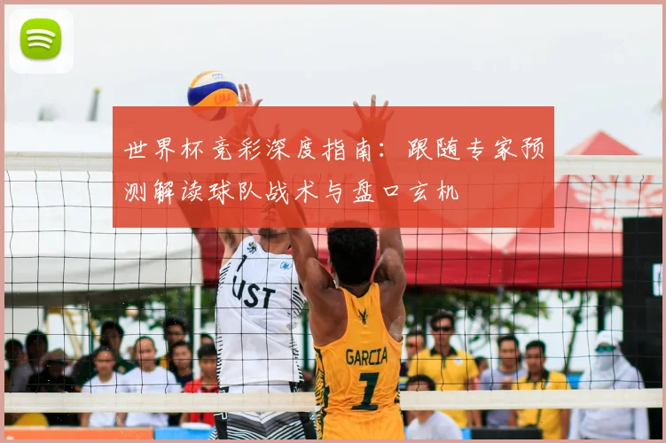 世界杯竞彩深度指南:跟随专家预测解读球队战术与盘口玄机