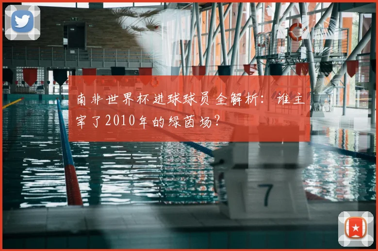 南非世界杯进球球员全解析:谁主宰了2010年的绿茵场?