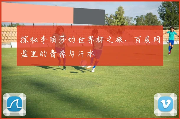 探秘李丽莎的世界杯之旅,百度网盘里的青春与汗水