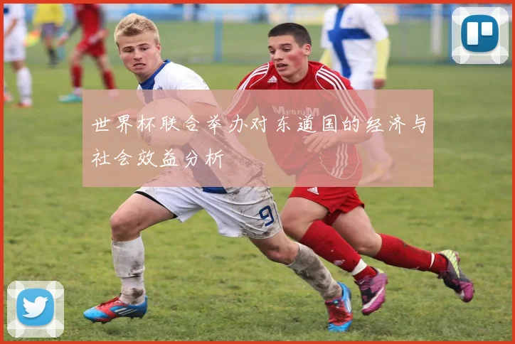世界杯联合举办对东道国的经济与社会效益分析