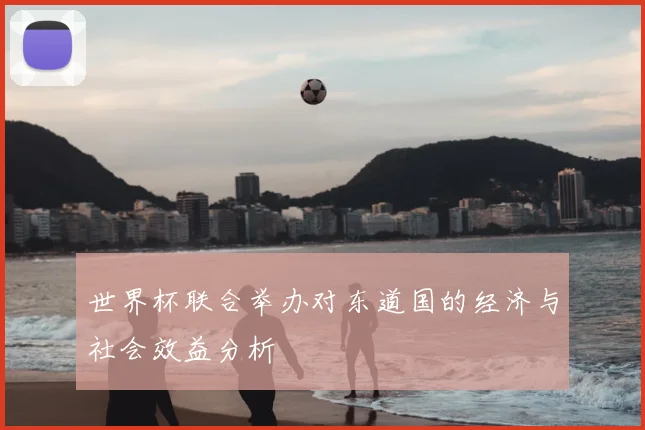 世界杯联合举办对东道国的经济与社会效益分析
