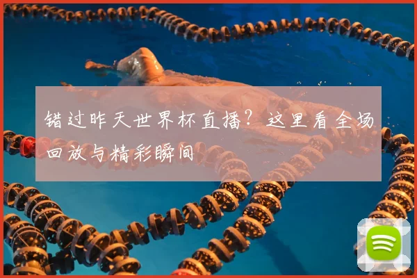 错过昨天世界杯直播？这里看全场回放与精彩瞬间