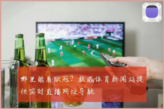 哪里能看欧冠？权威体育新闻站提供实时直播网址导航