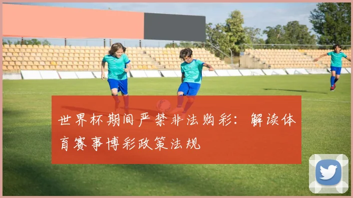 世界杯期间严禁非法购彩：解读体育赛事博彩政策法规
