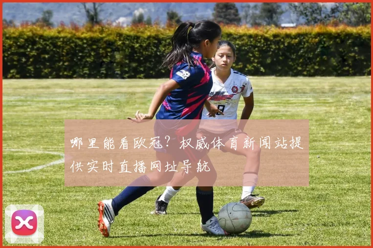 哪里能看欧冠？权威体育新闻站提供实时直播网址导航